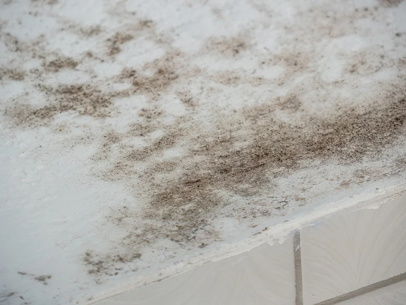 Black mold growing on a white ceiling near tiled wall.