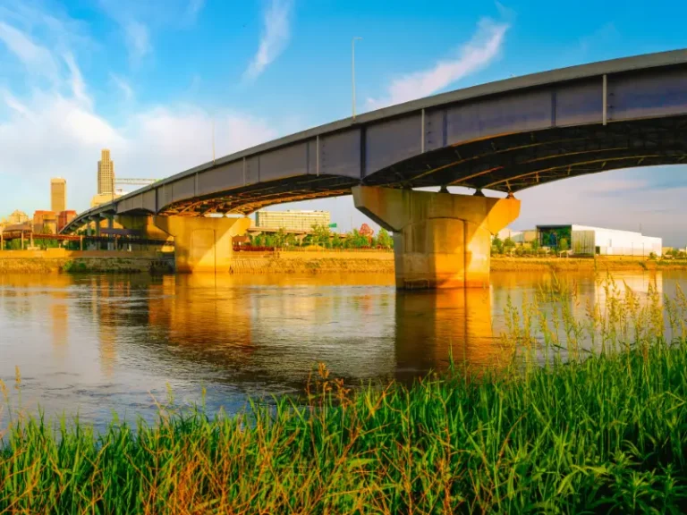 Steel bridge over a river with city buildings in the background and green grass in the foreground.